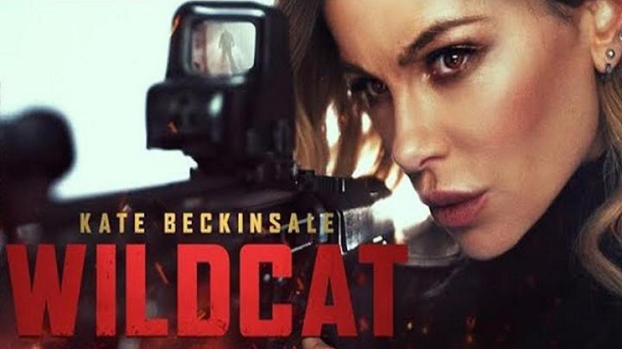 مشاهدة فيلم Wildcat 2025 مترجم ايجي بست