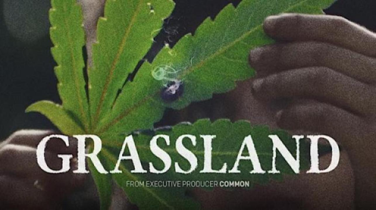 مشاهدة فيلم Grassland 2024 مترجم ايجي بست